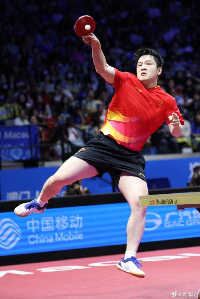 英格兰队完胜韩国队,樊振东刷新纪录 英格兰队完胜韩国队,樊振东刷新纪录