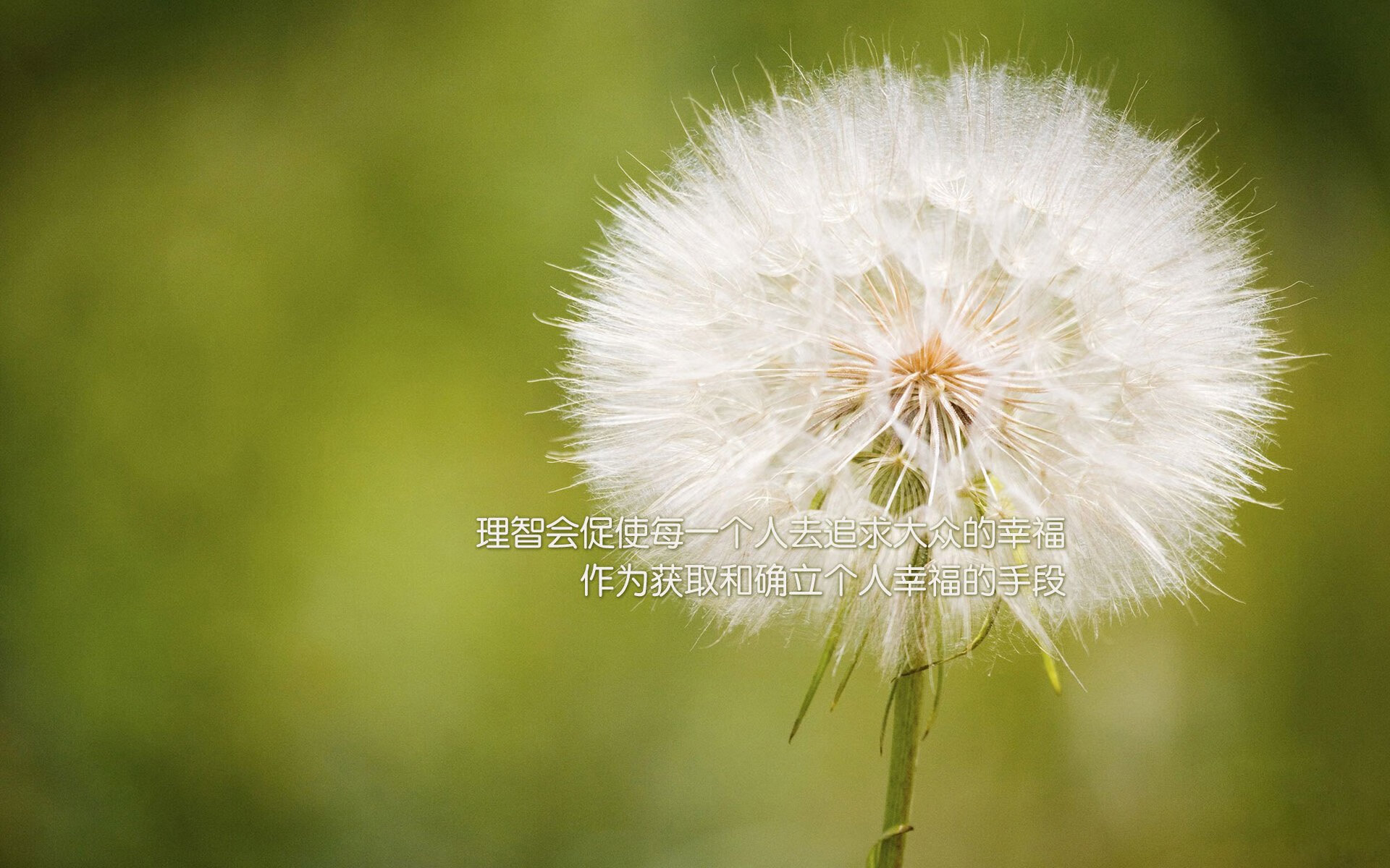 开云体育登录-双线叙事，法比尼奥的救赎与爱尔兰的终结