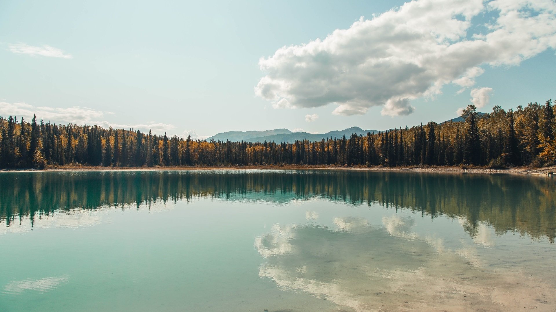 开云体育在线-欧冠半决赛惊天一战,皇家社会强势拿下加纳,拉亚门神附体接管比赛