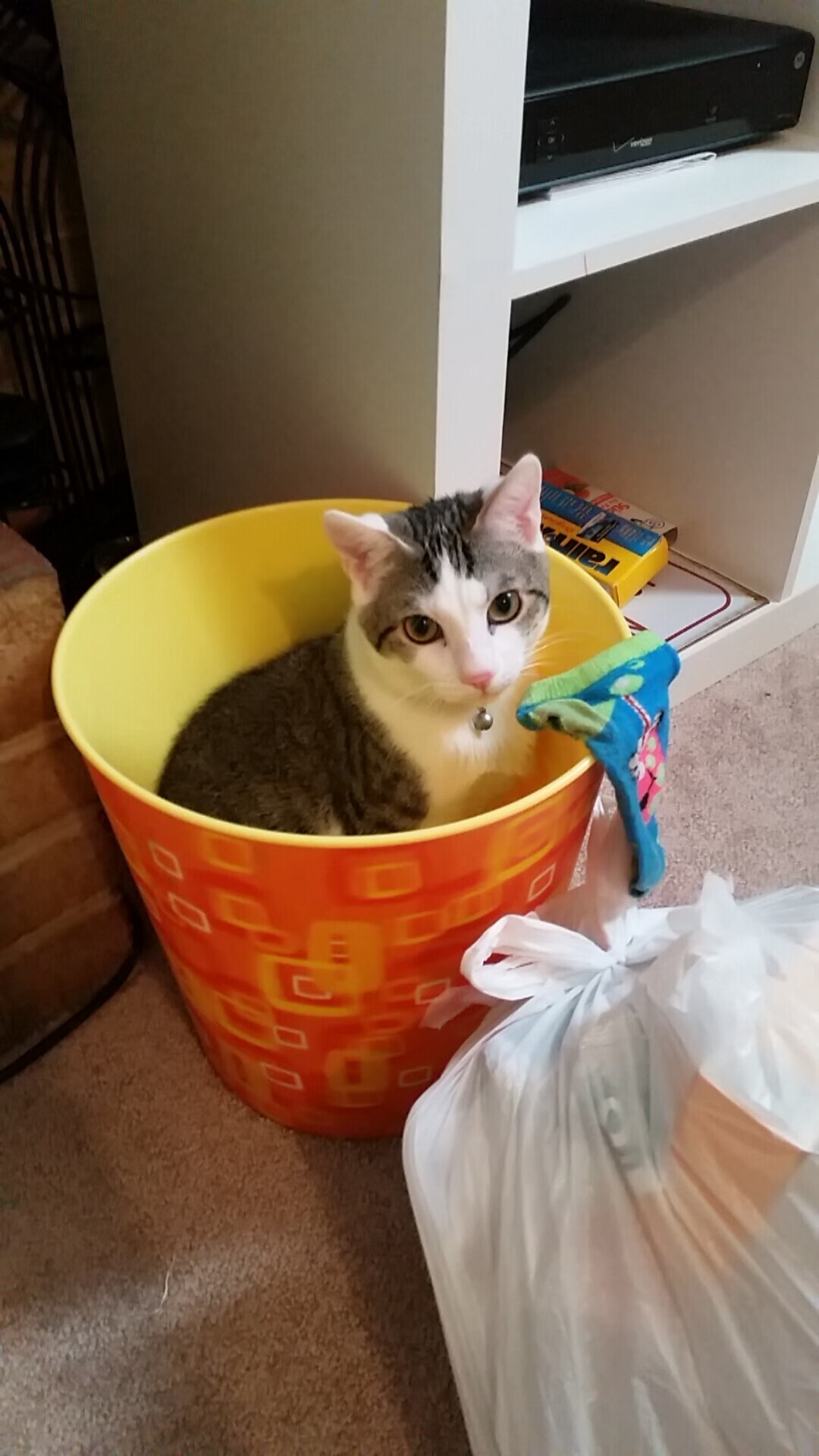 浓眉48分打爆内线！魔术双核68分仍惜败，恩比德空砍38分