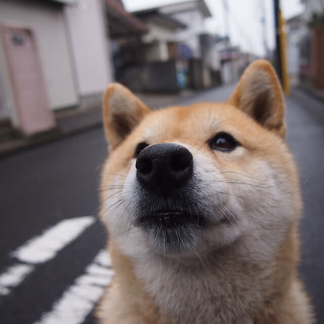 开云体育登录-布克降临汽车城，活塞对阵鹈鹕，防线彻底被打爆